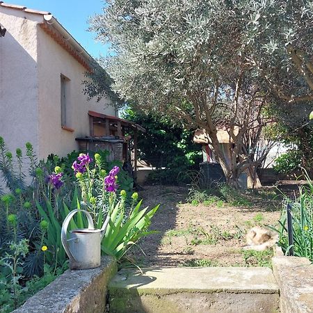 Villa 80 M2 Jardin Terrasse 3 Chambres Provence Volx Εξωτερικό φωτογραφία